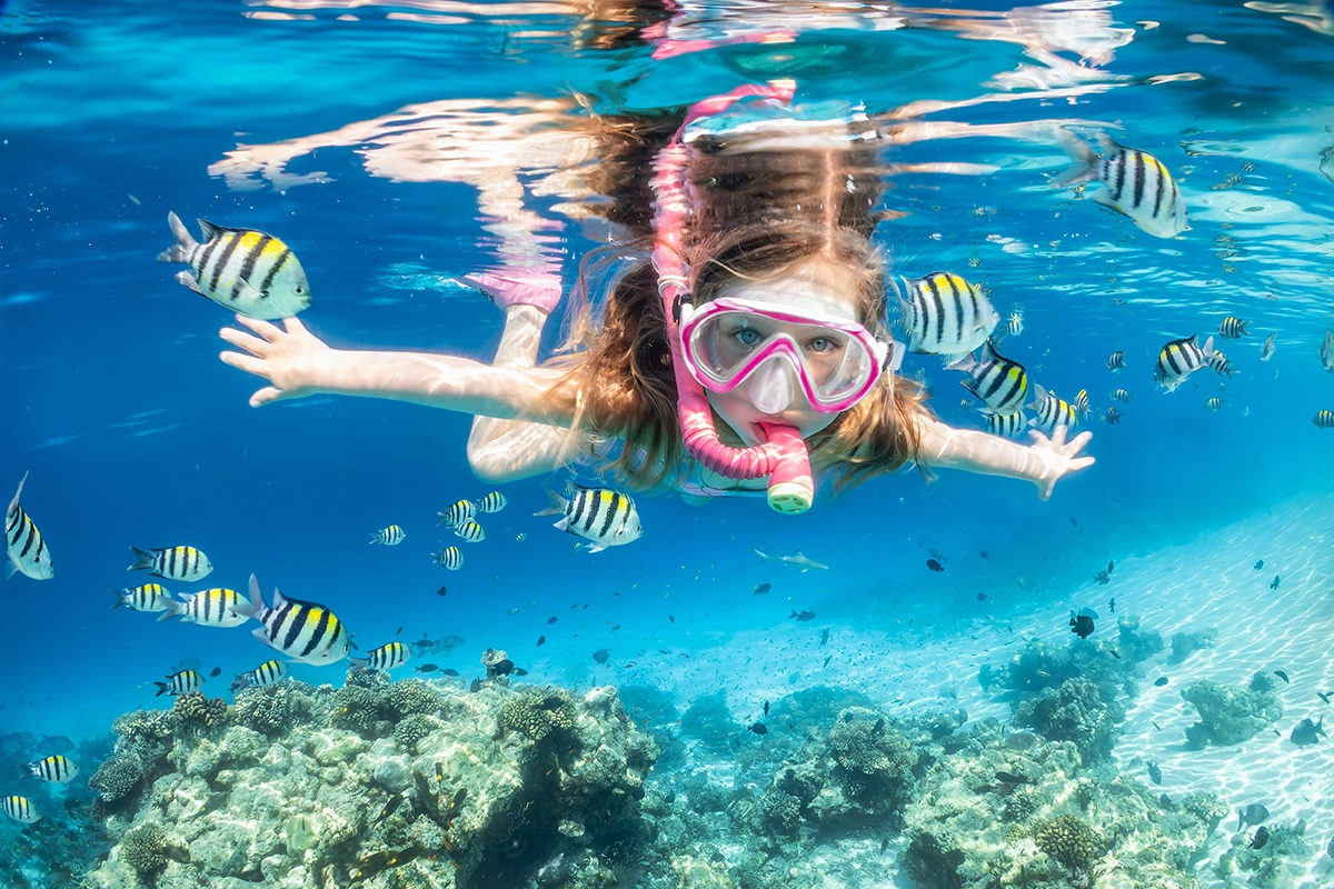 caribbean-snorkeling Snorkeling in the Virgin Islands